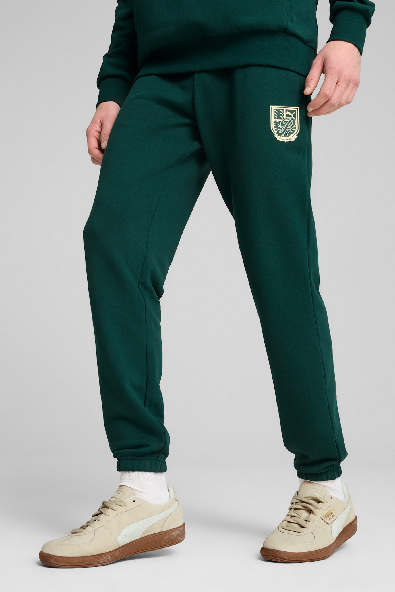 Мужские зеленые спортивные брюки SPORTS LEGACY Graphic Sweatpants Men 1