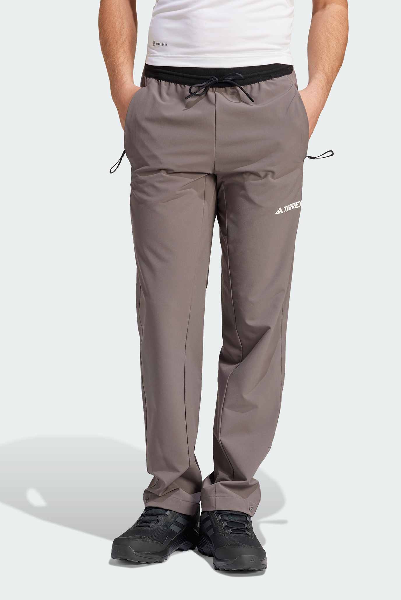 Чоловічі коричневі спортивні штани Terrex Liteflex Hiking 1