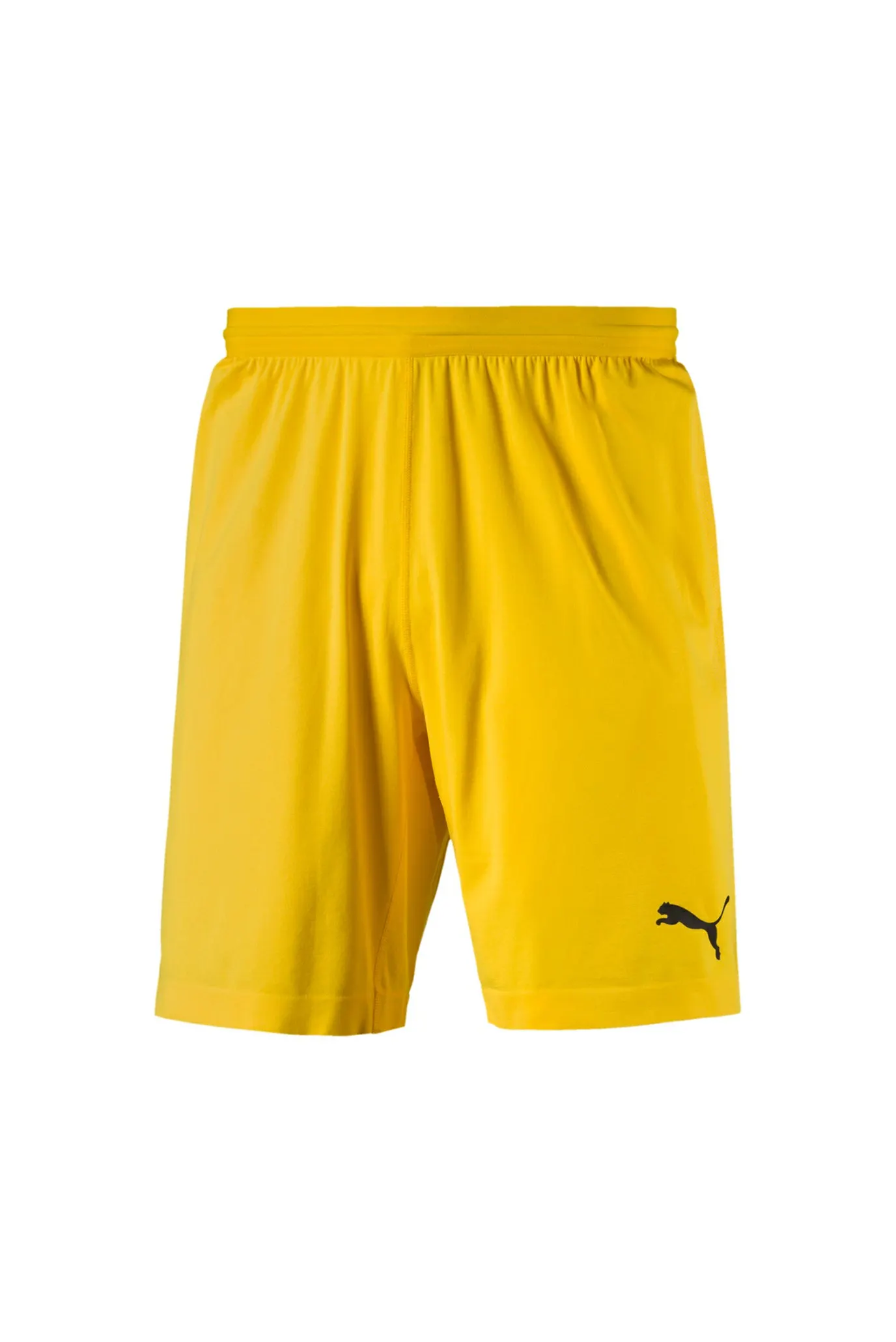 puma evoknit shorts