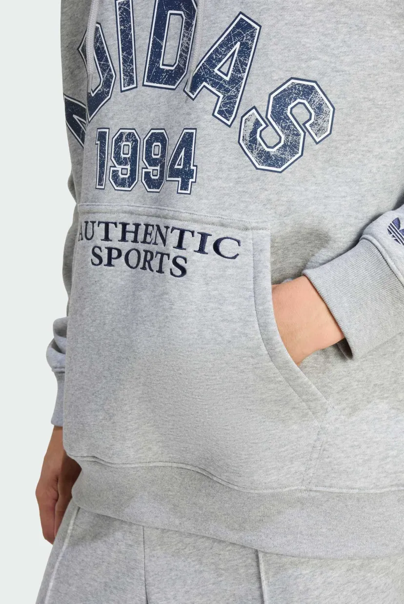 Мужское серое худи VARSITY 5
