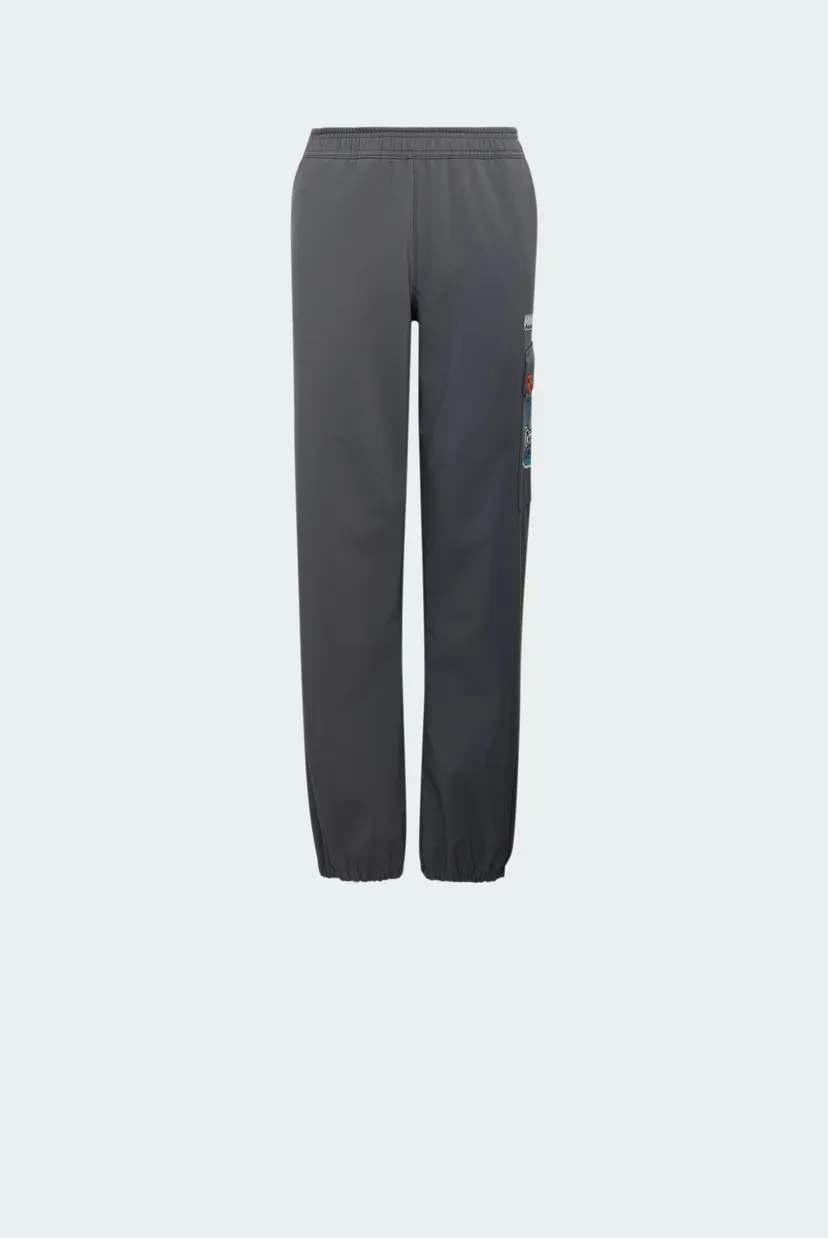 Детские серые спортивные брюки Adidas Minecraft Terrex CLIMAWARM Softshell 6