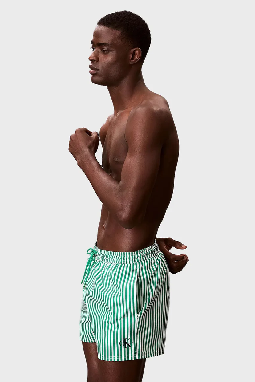Мужские зеленые плавательные шорты в полоску WAISTBAND 3