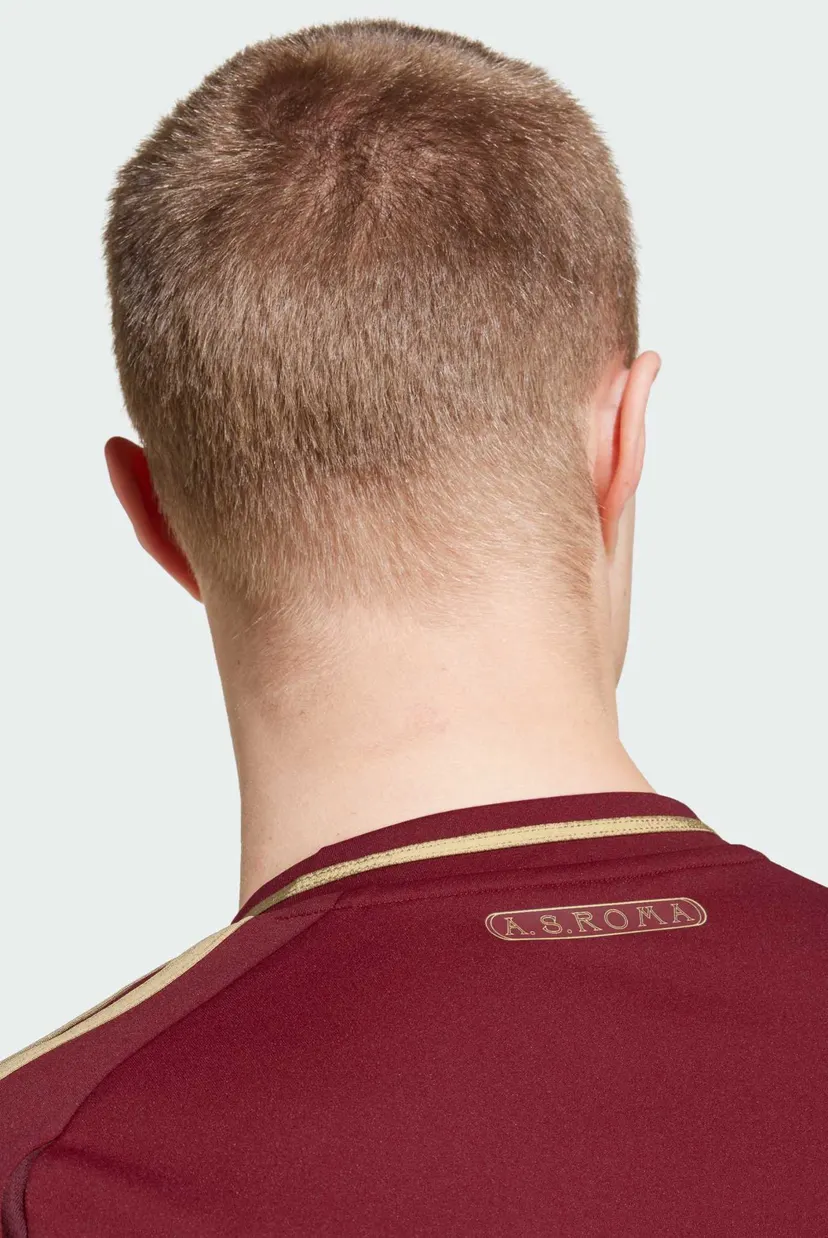 Мужская бордовая футболка в полоску AS Roma 24/25 5