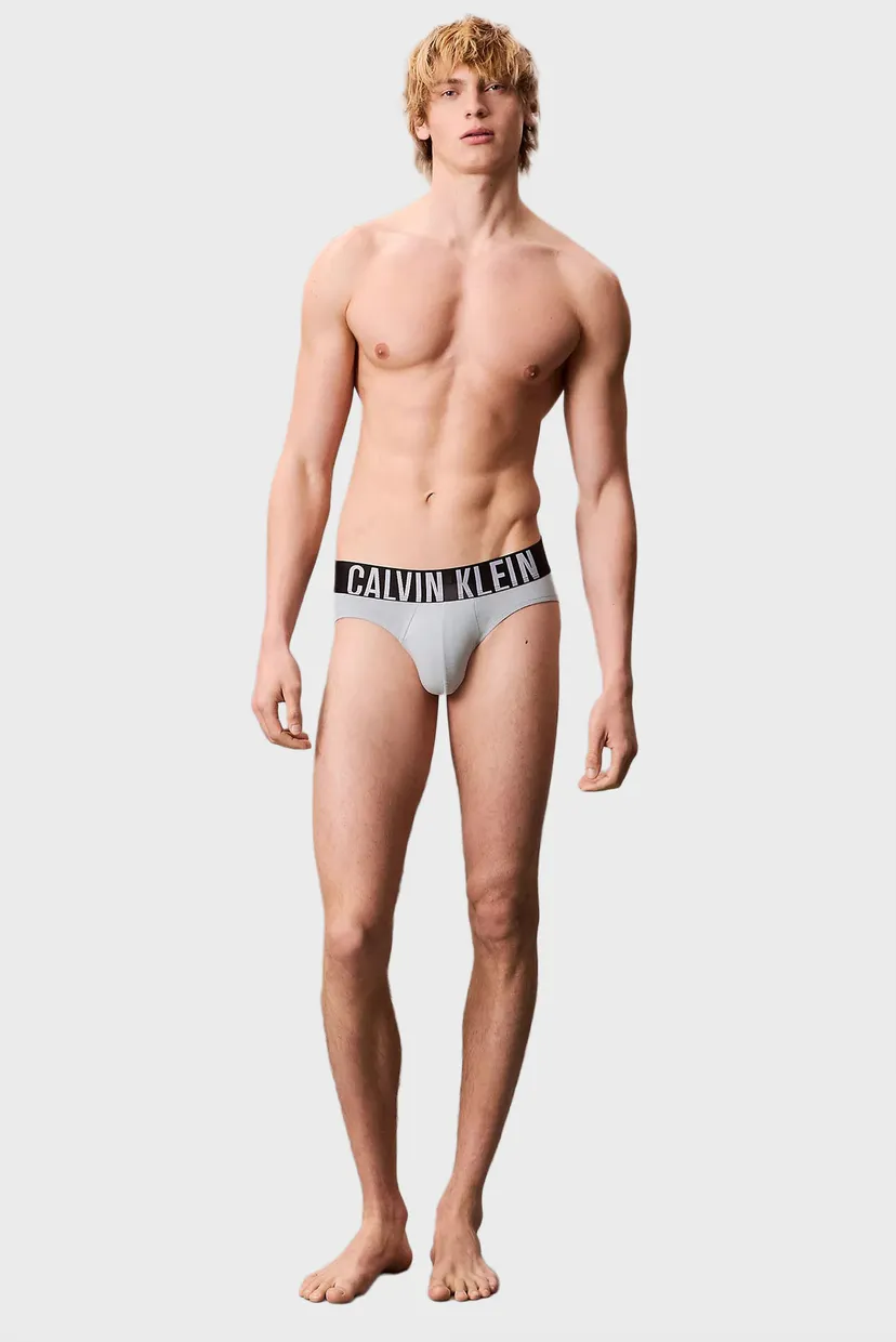 Чоловічі бріфи (3 шт) HIP BRIEF 4