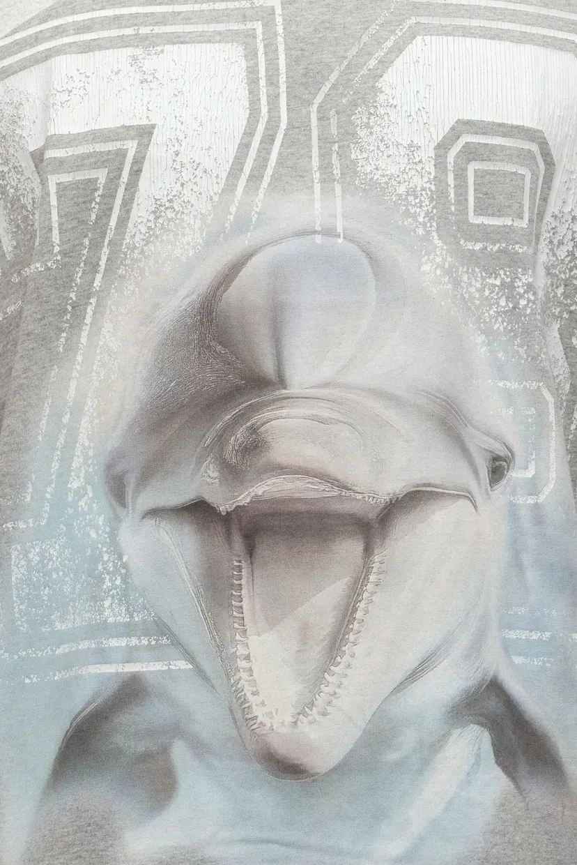 Чоловіча сіра футболка T-BOXT-DOLPHIN 4