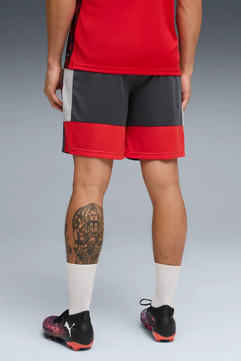 Мужские серые шорты IndividualLIGA Training Shorts Men 3