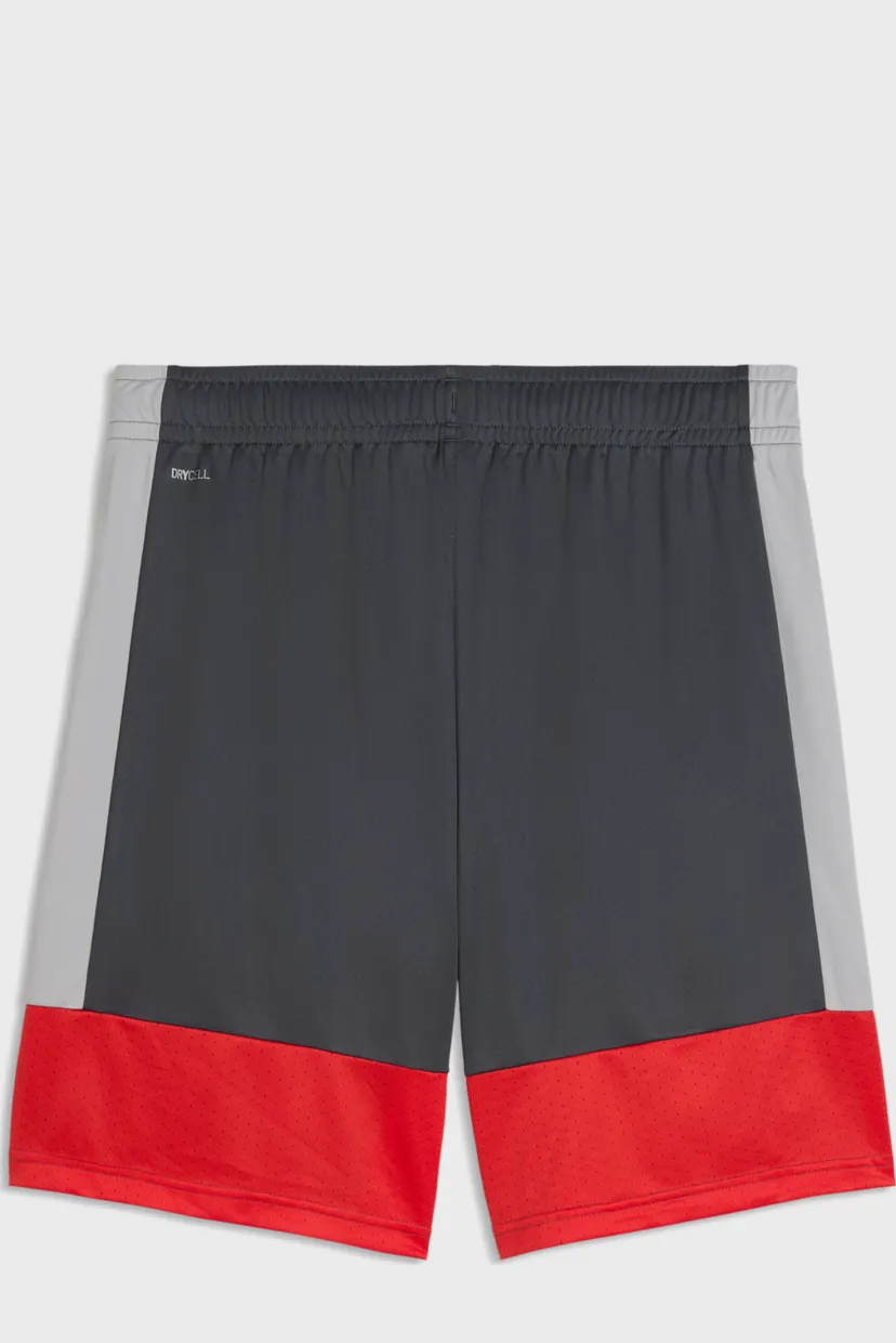 Мужские серые шорты IndividualLIGA Training Shorts Men 5