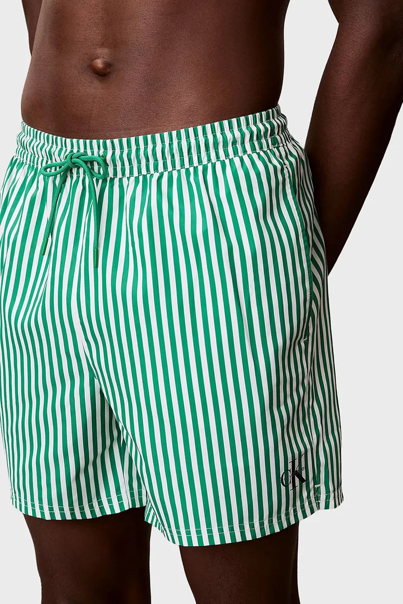 Чоловічі зелені плавальні шорти у смужку WAISTBAND 5