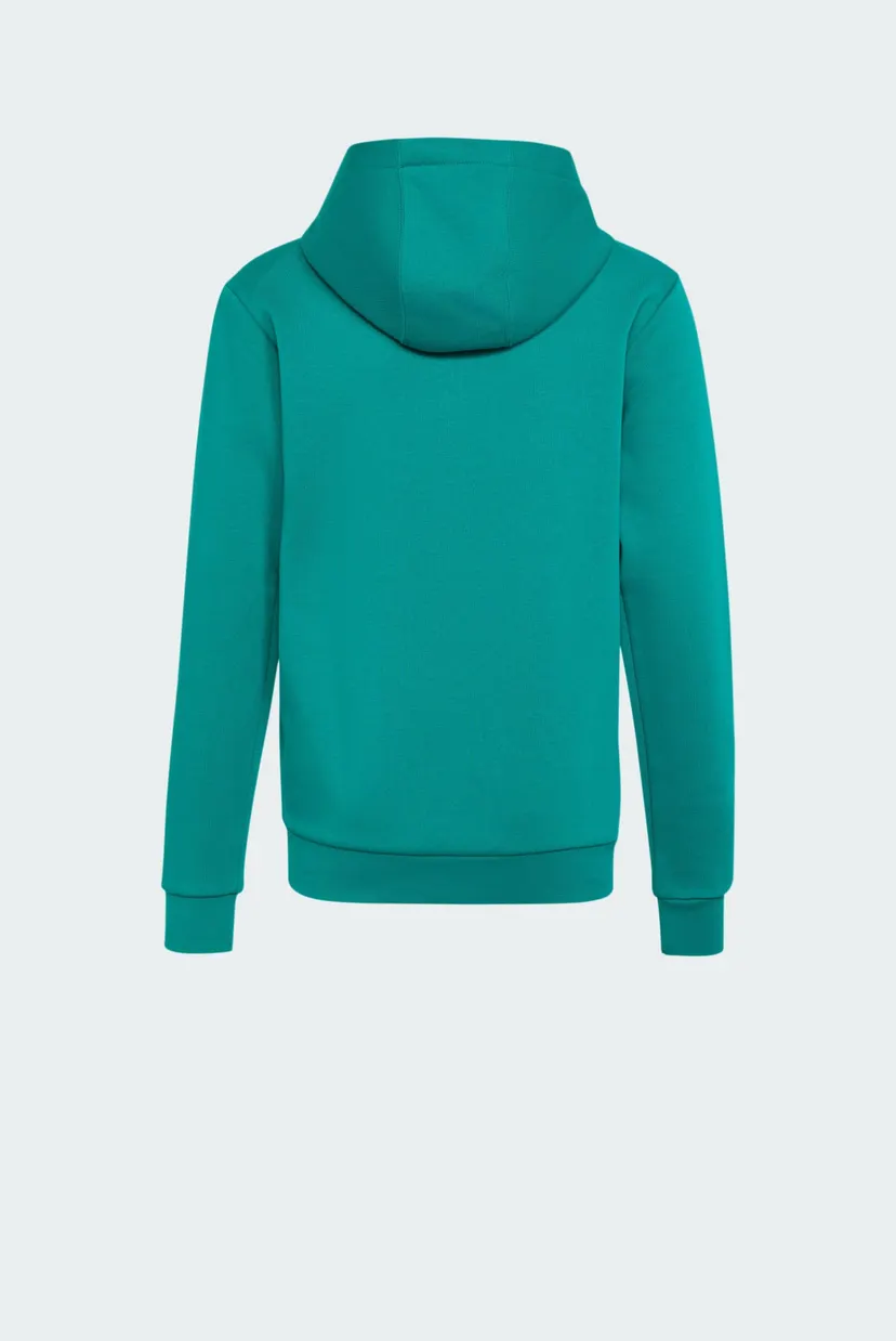 Детское зеленое худи Adidas Minecraft Terrex 10