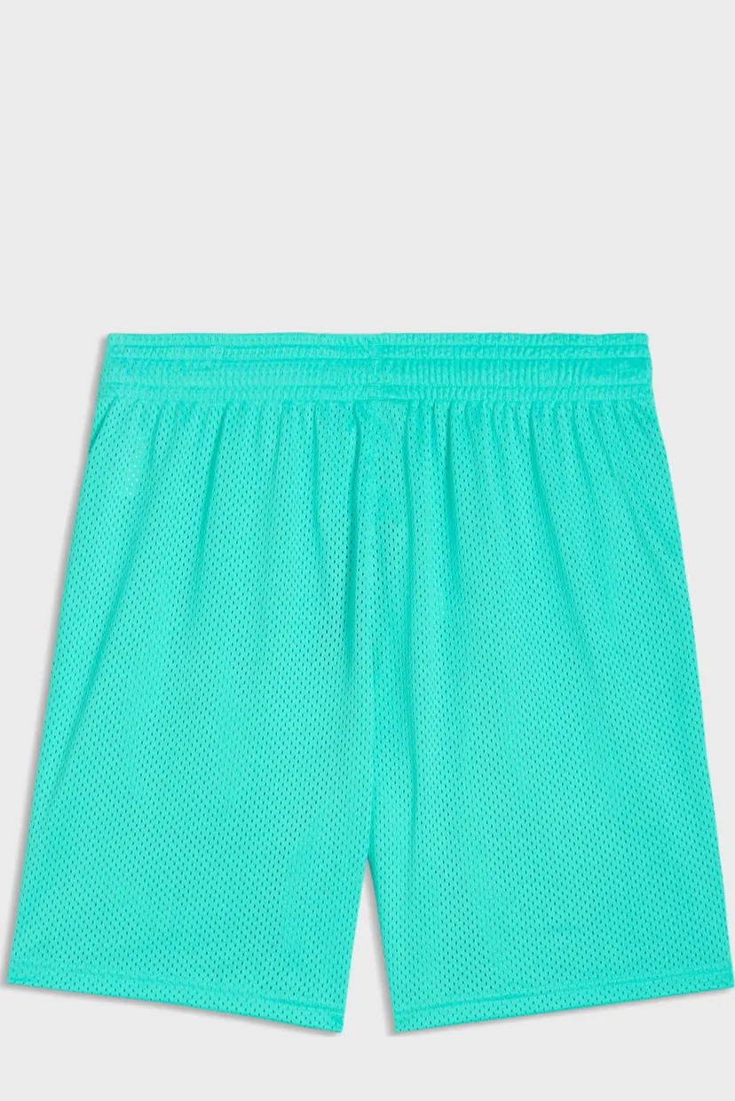 Мужские бирюзовые шорты Melo World Oversized 7