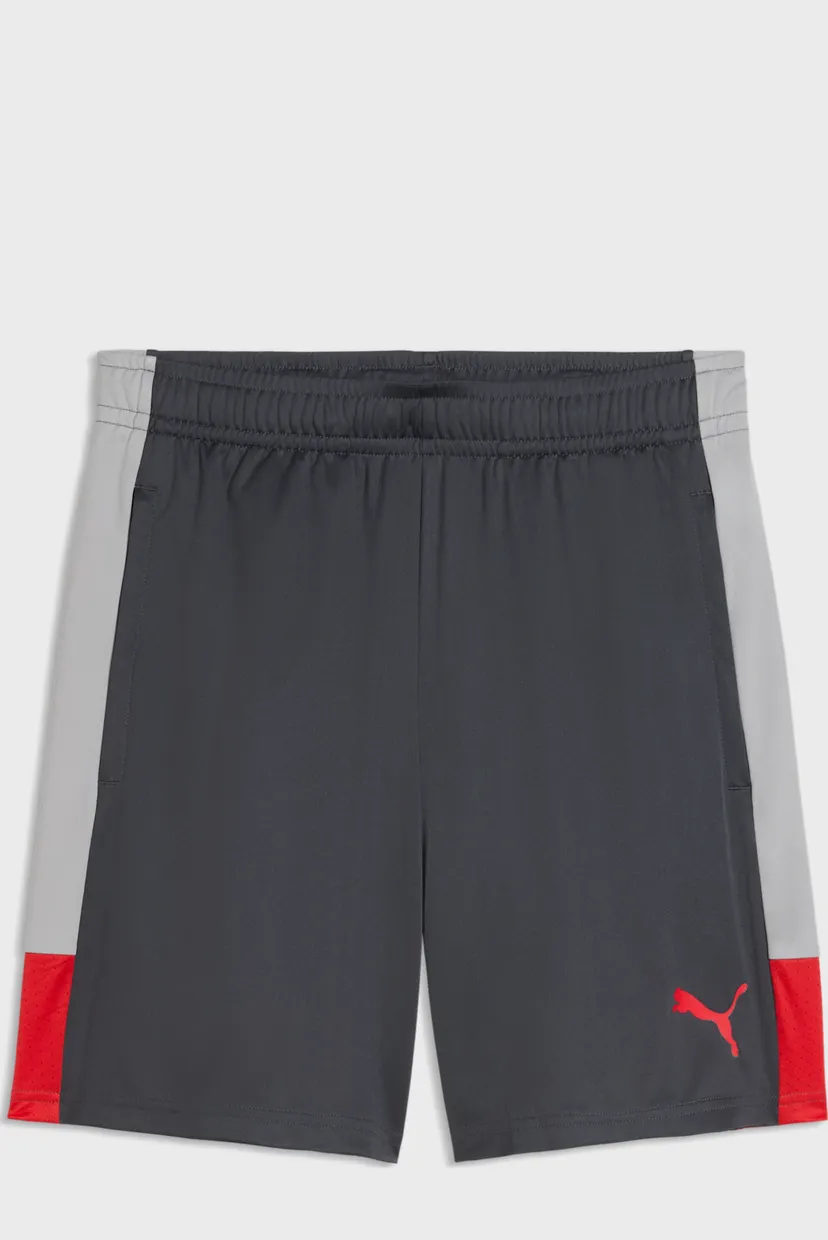 Чоловічі сірі шорти IndividualLIGA Training Shorts Men 4