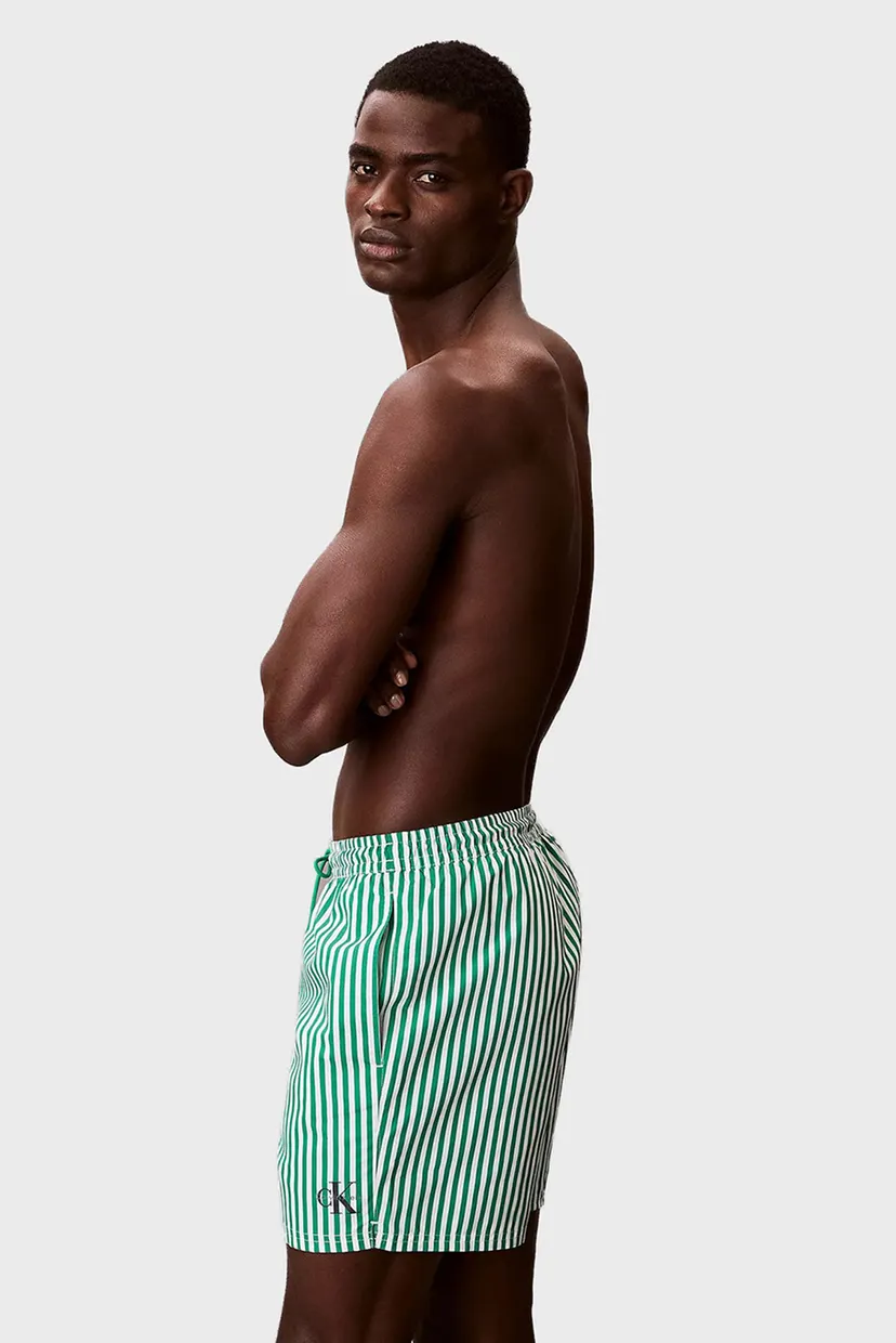 Мужские зеленые плавательные шорты в полоску WAISTBAND 3