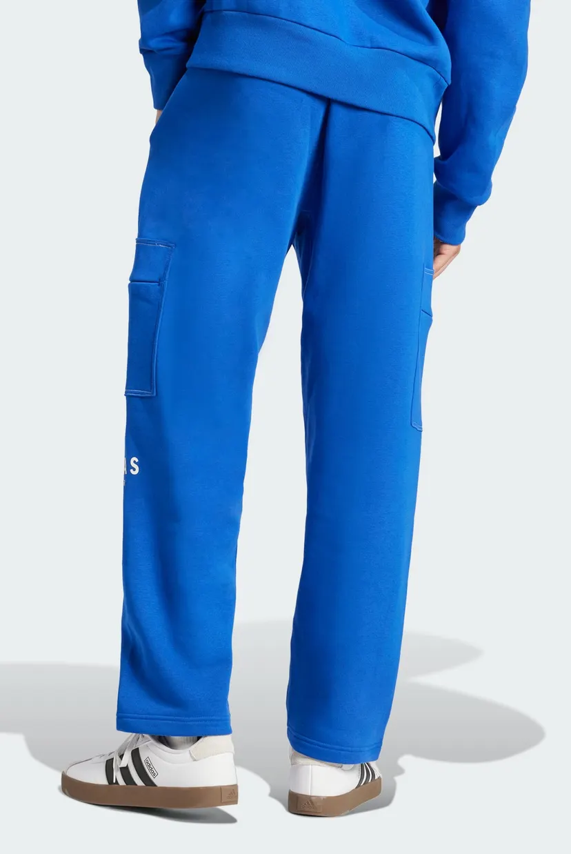 Мужские синие спортивные брюки ALL SZN Fleece Graphic Loose 3