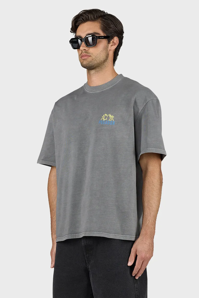 Чоловіча сіра футболка Vanos Oversized Tee 3
