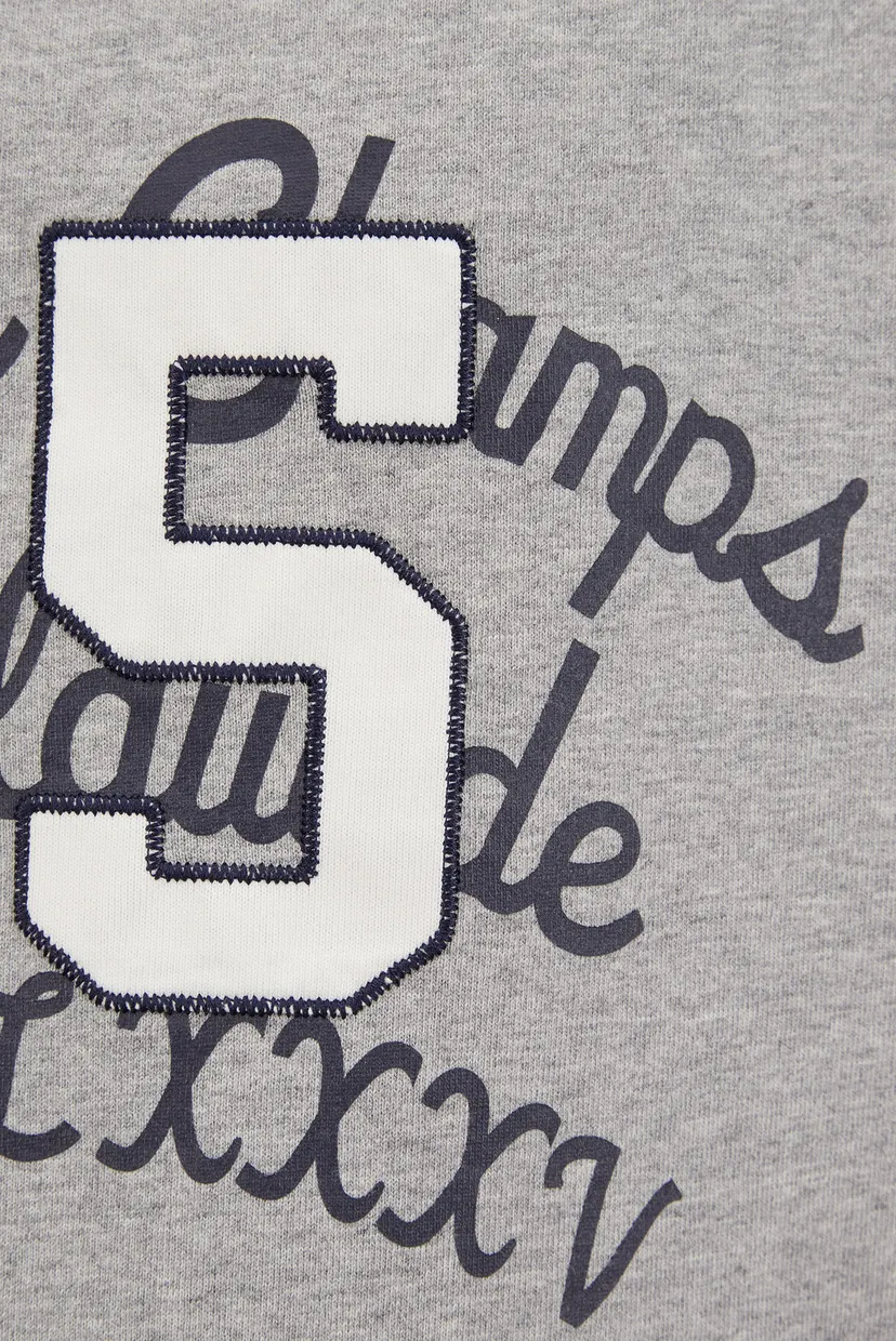 Чоловіча сіра футболка TJC WASHED VARSITY 85 TEE 5