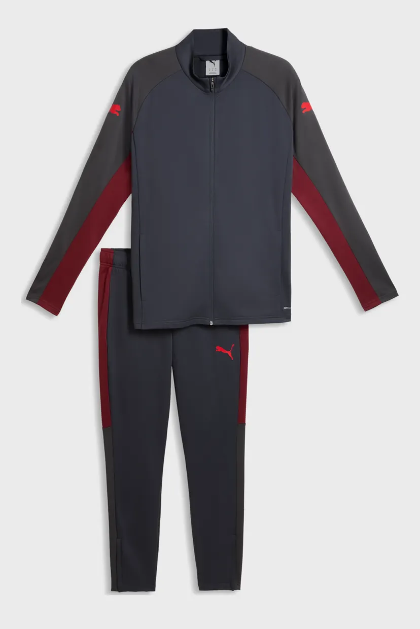 Мужской темно-серый спортивный костюм (кофта, брюки) IndividualLIGA Slim Tracksuit Men 6