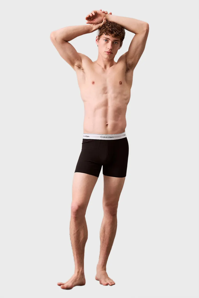 Чоловічі боксери (3 шт) BOXER BRIEF 5