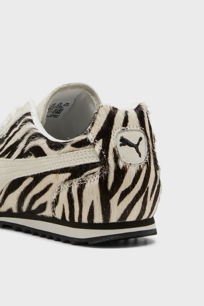 Женские белые кроссовки Arizona Zebra Sneakers Women 6