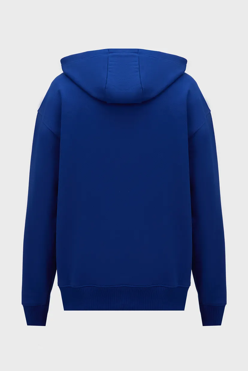 Чоловіче синє худі HILFIGER SMALL CREST 6