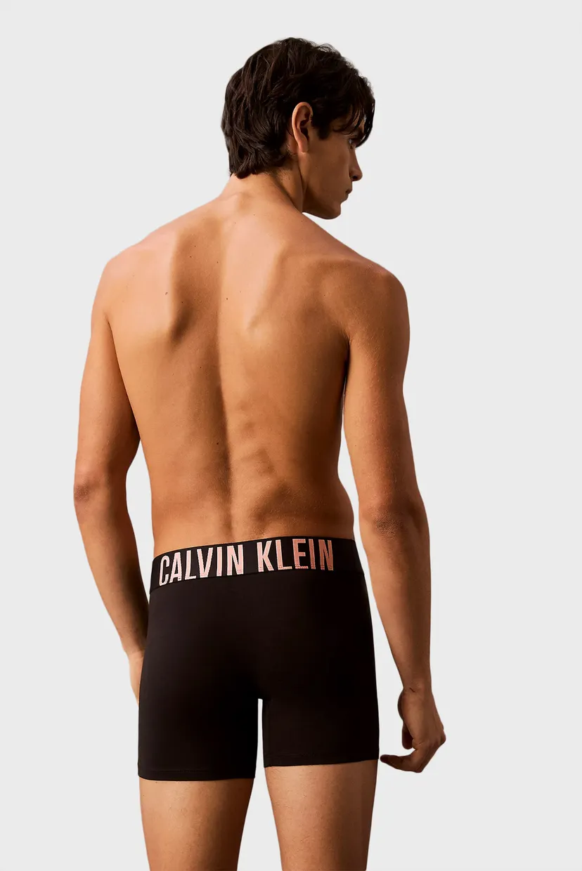 Чоловічі чорні боксери (3 шт) BOXER BRIEF 3