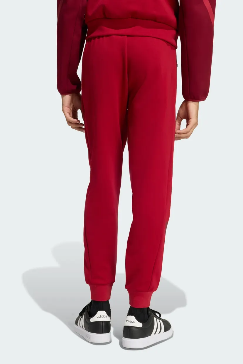 Мужские бордовые спортивные брюки New adidas Z.N.E. 3
