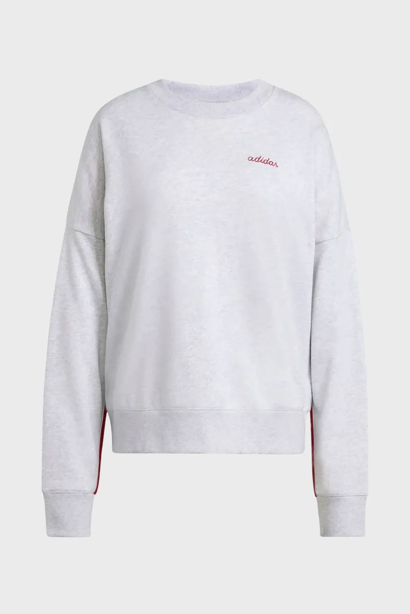 Жіночий сірий світшот Seasonal Essentials Colorpop with Embroidered Graphic 6