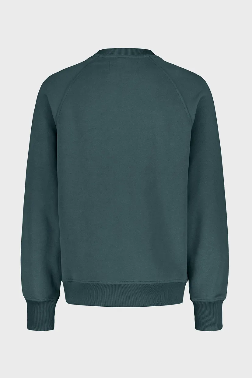 Чоловічий сірий світшот CK APPLIQUE CREW NECK 6