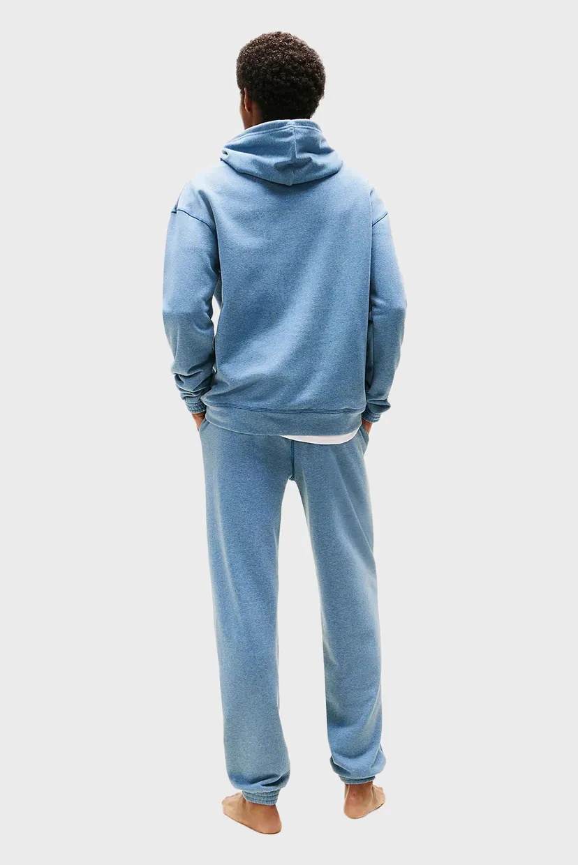 Чоловіче блакитне худі FZ HOODIE 3