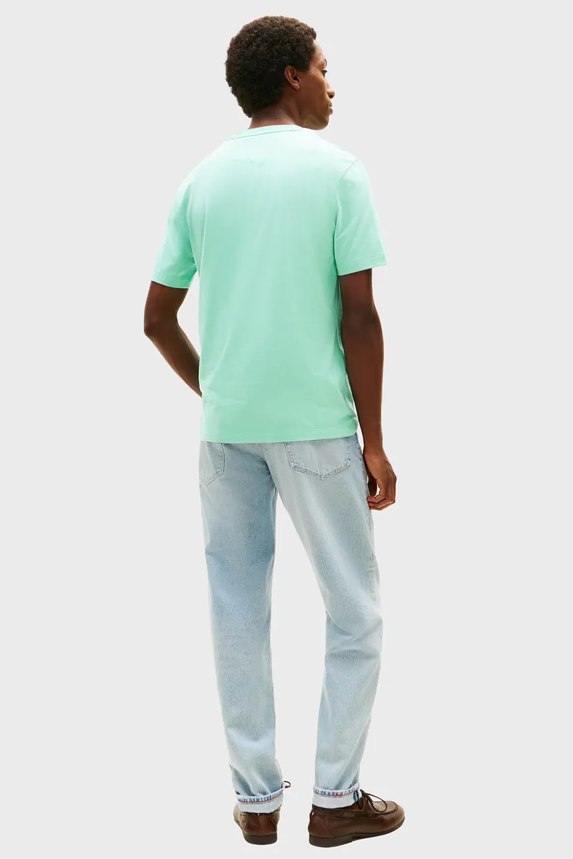 Мужская бирюзовая футболка SEASONAL REG FIT 3
