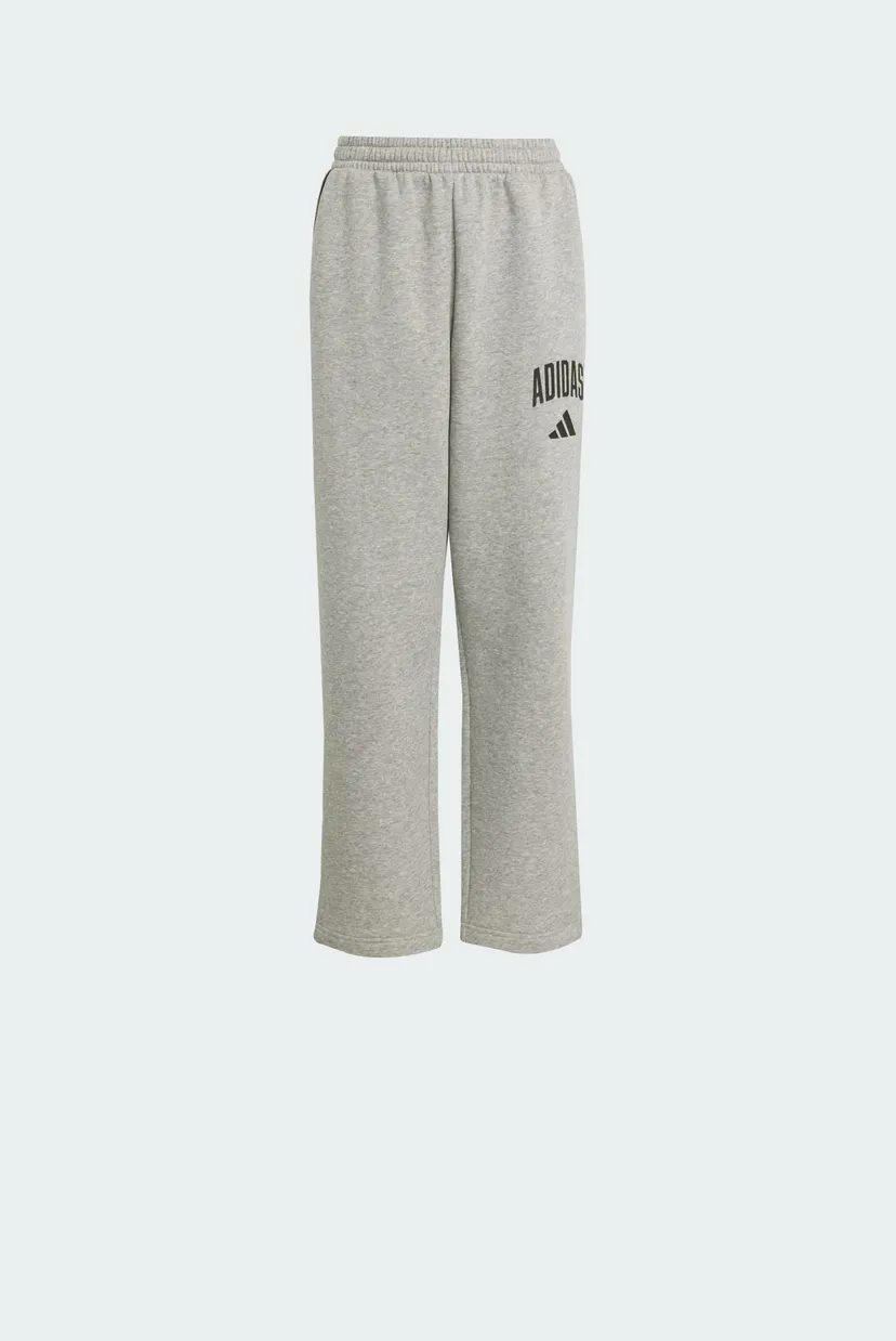 Детские серые спортивные брюки Seasonals Essentials Collegiate Typography Kids 6