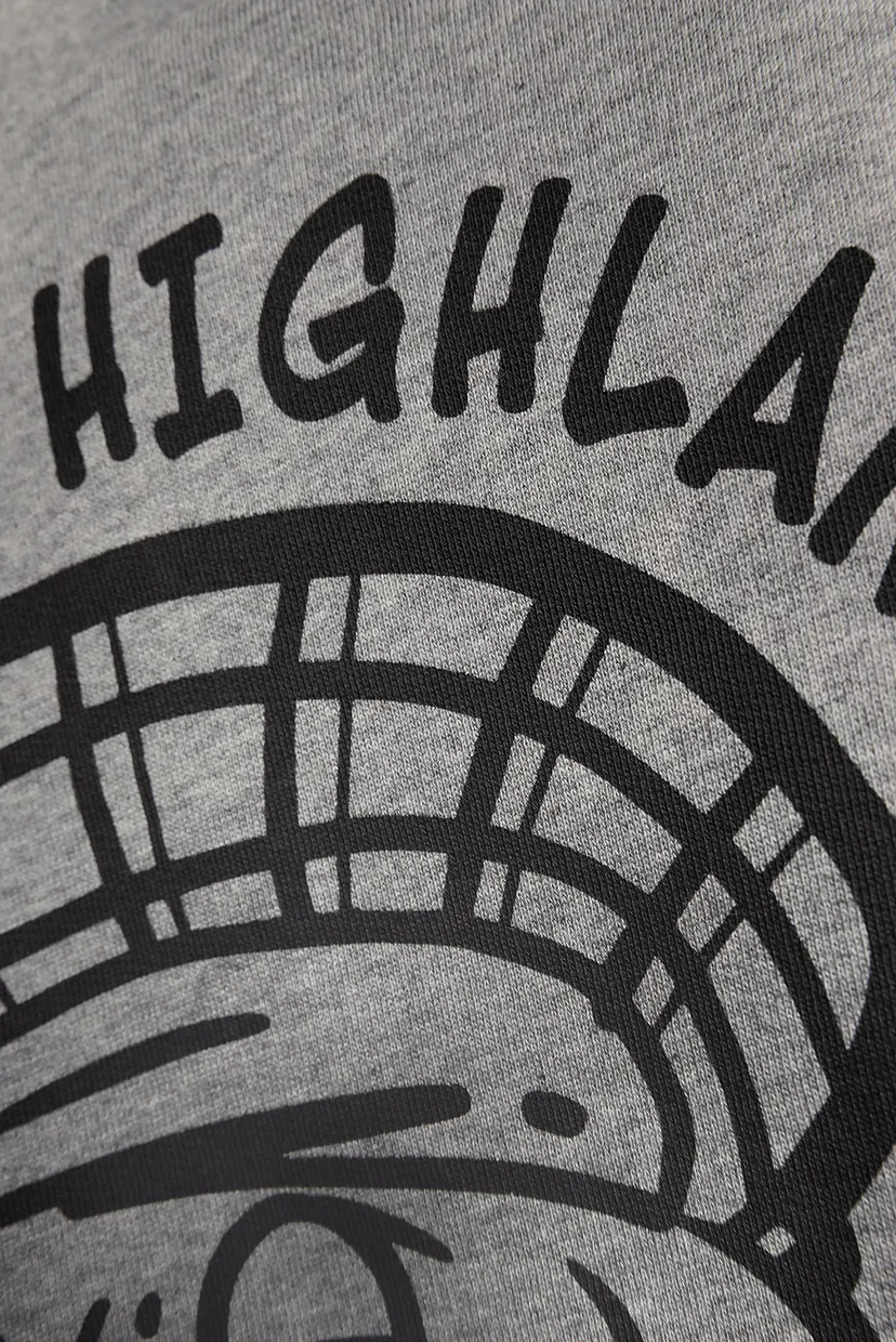 Мужской серый свитшот HIGHLANDER GRAPHIC 4