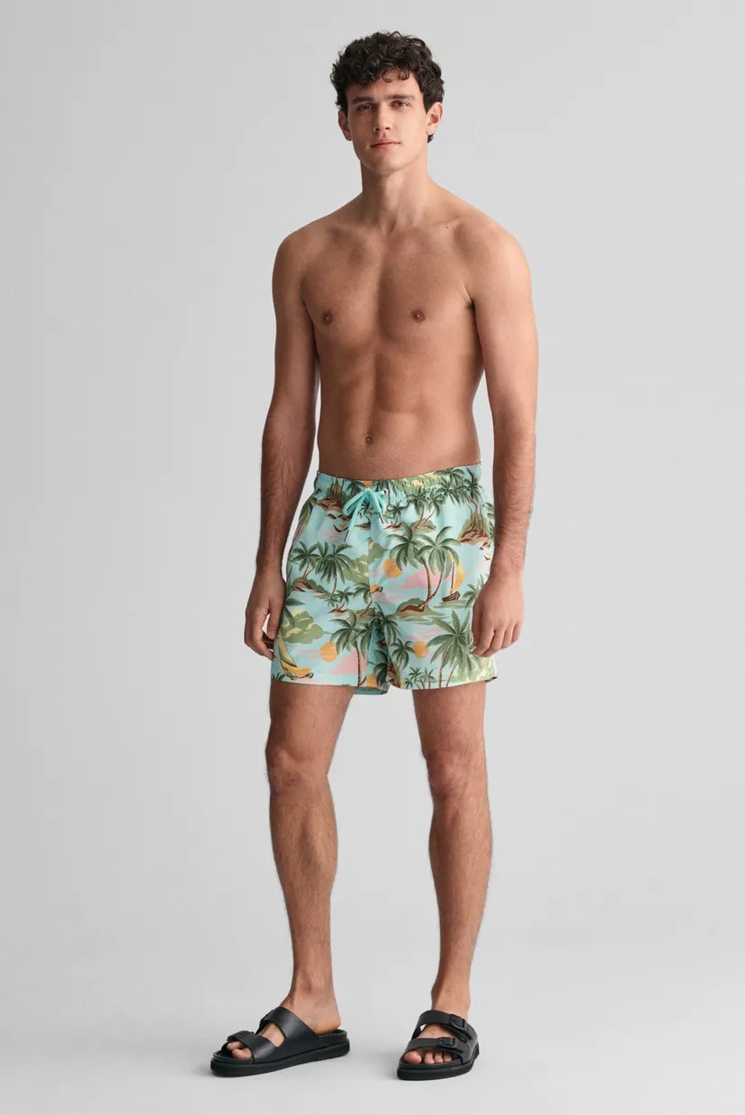 Чоловічі м'ятні плавальні шорти з візерунком HAWAII PRINT SWIM SHORTS 3