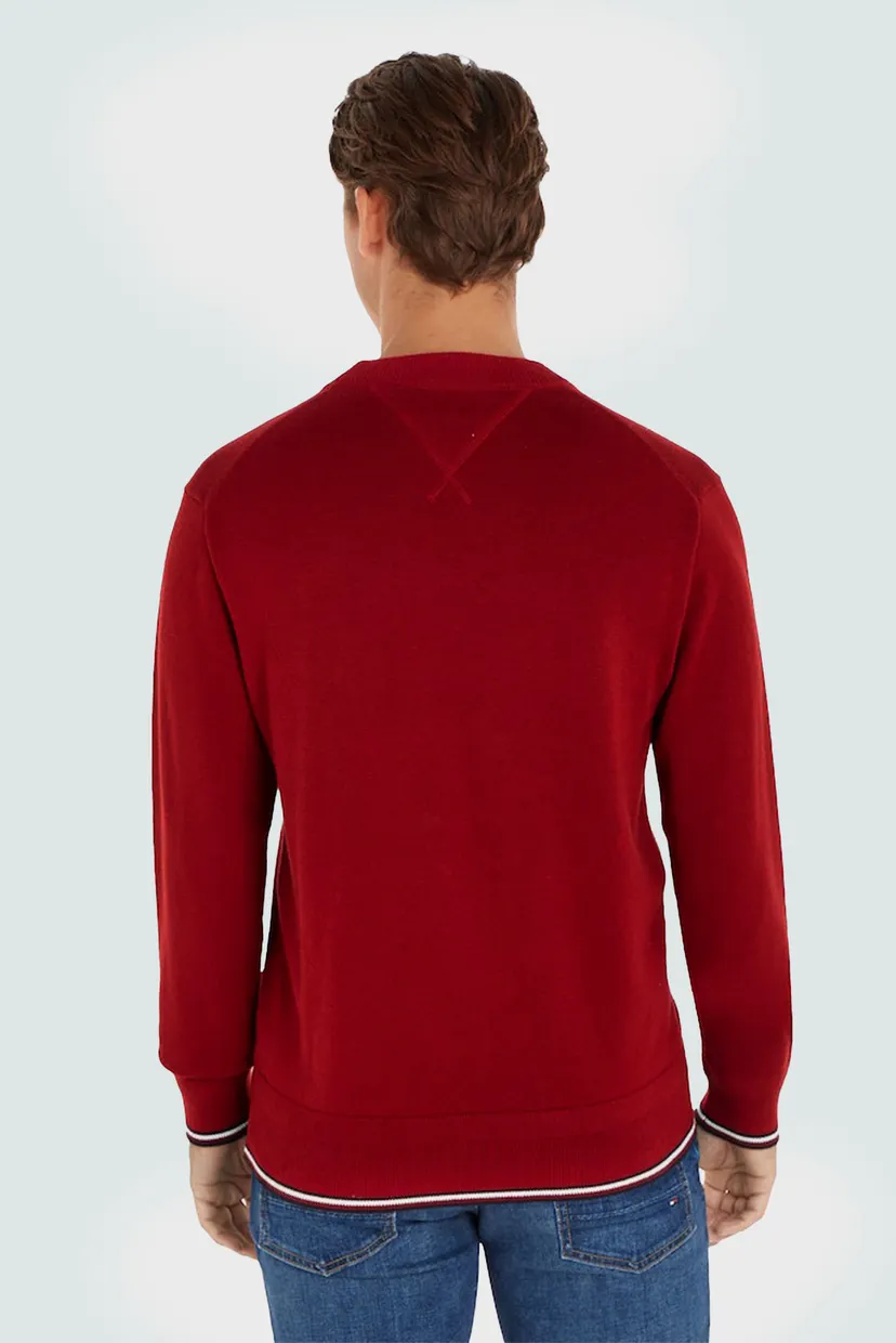 Мужской красный джемпер MONOTYPE GS TIPPED CREW NECK 2
