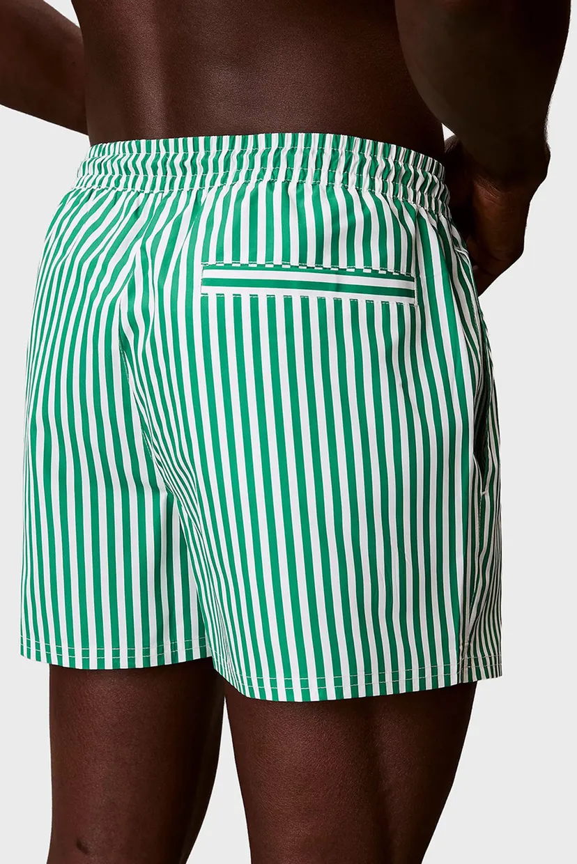 Мужские зеленые плавательные шорты в полоску WAISTBAND 6