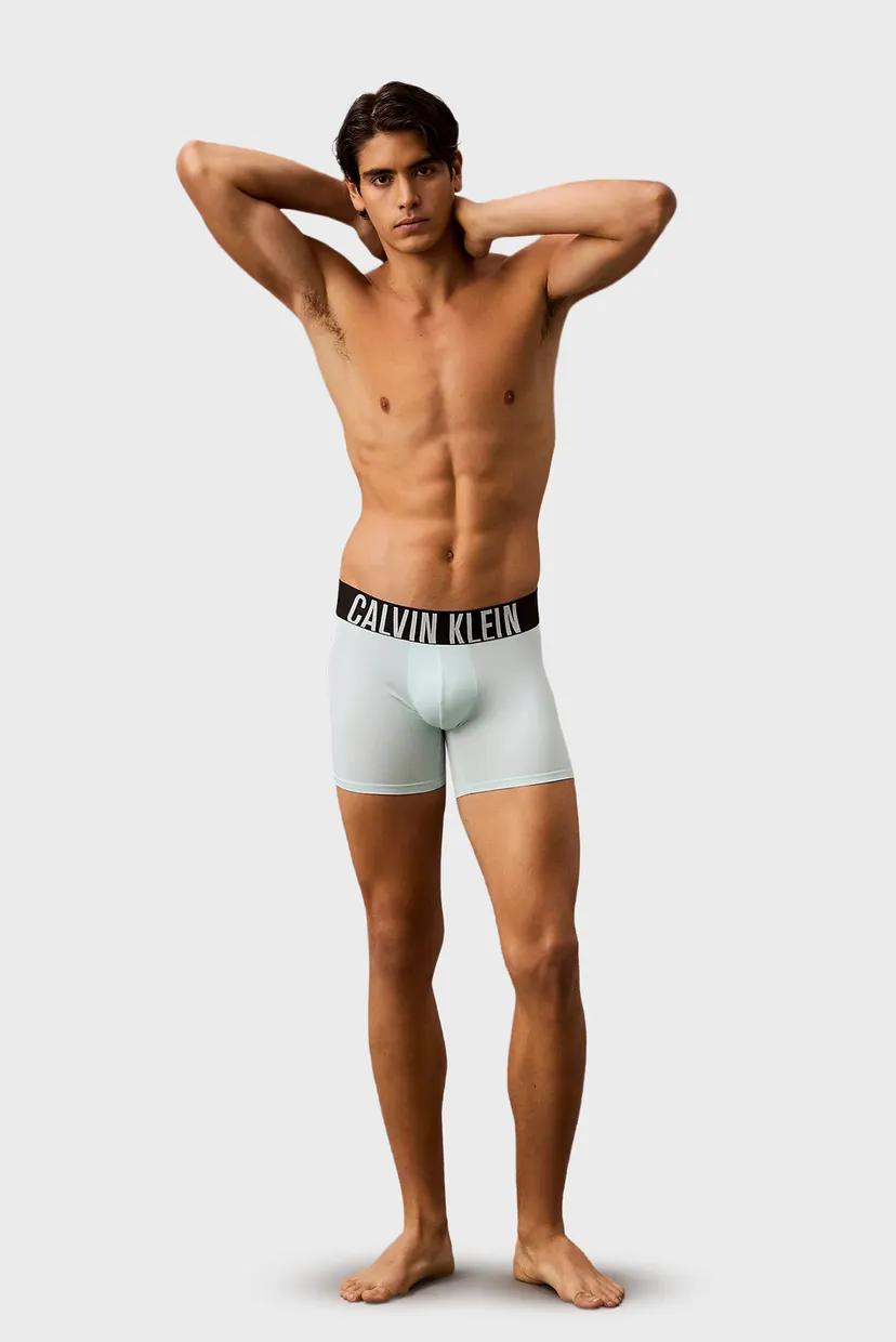 Чоловічі боксери (3 шт) BOXER BRIEF 4
