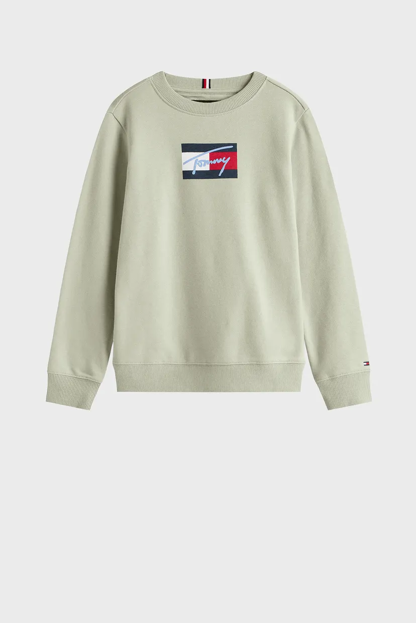 Детский мятный свитшот TOMMY SCRIPT 4