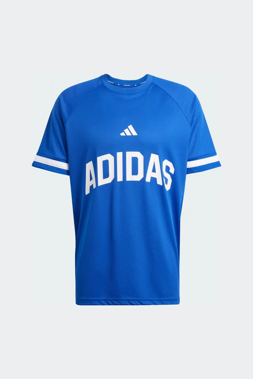 Мужская синяя футболка Seasonal Essentials US Sport 6