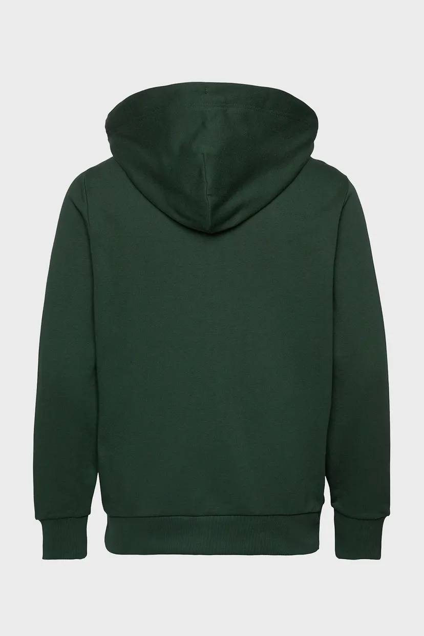 Чоловіче зелене худі REG TONAL SHIELD FULL ZIP 10