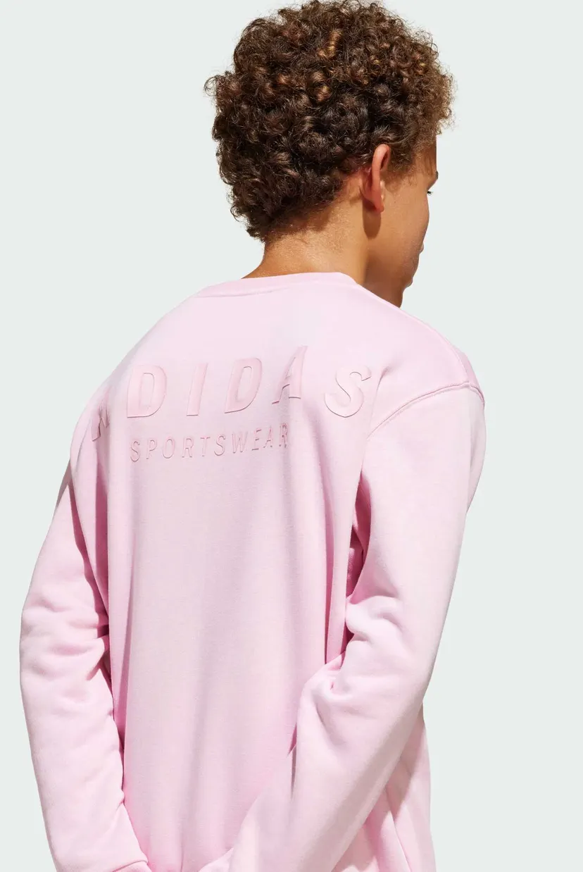 Детский розовый свитшот All SZN Graphic Crew Kids 5