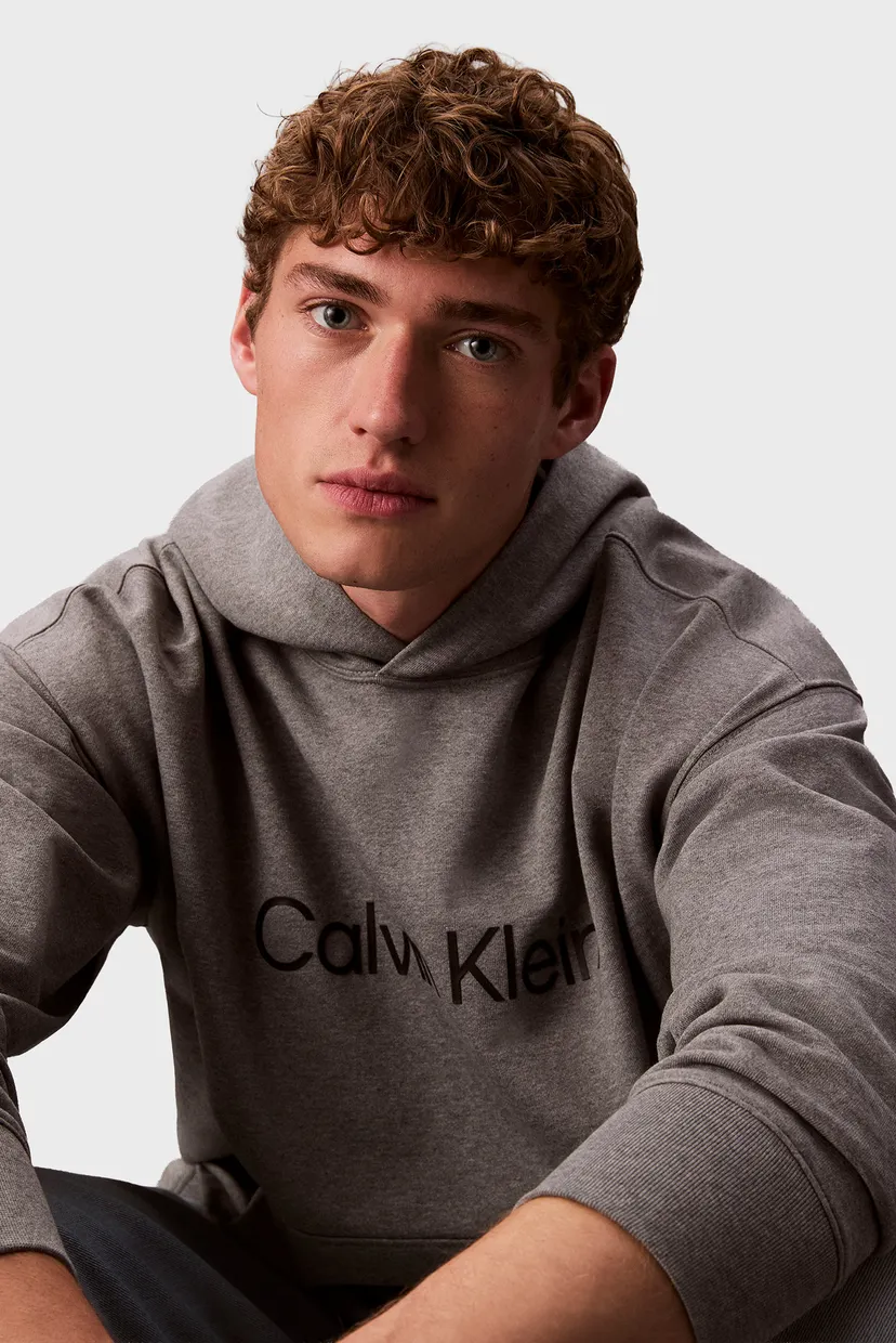 Чоловіче сіре худі STANDARD LOGO PREMIUM TERRY 6