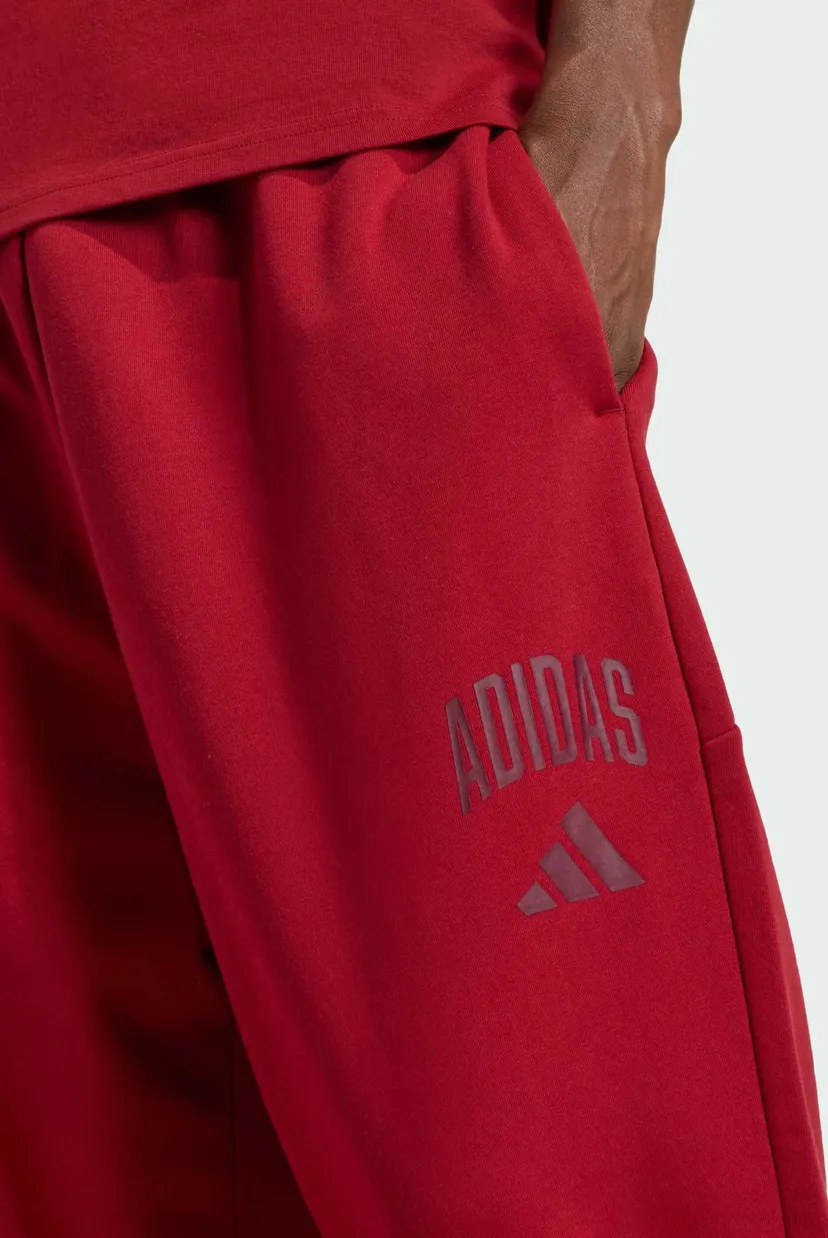 Мужские бордовые спортивные брюки COLLEGIATE 4