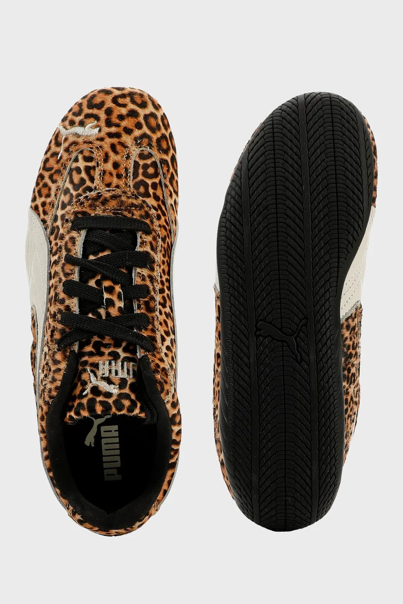 Женские коричневые кожаные кроссовки Speedcat Leopard Sneakers Women 3