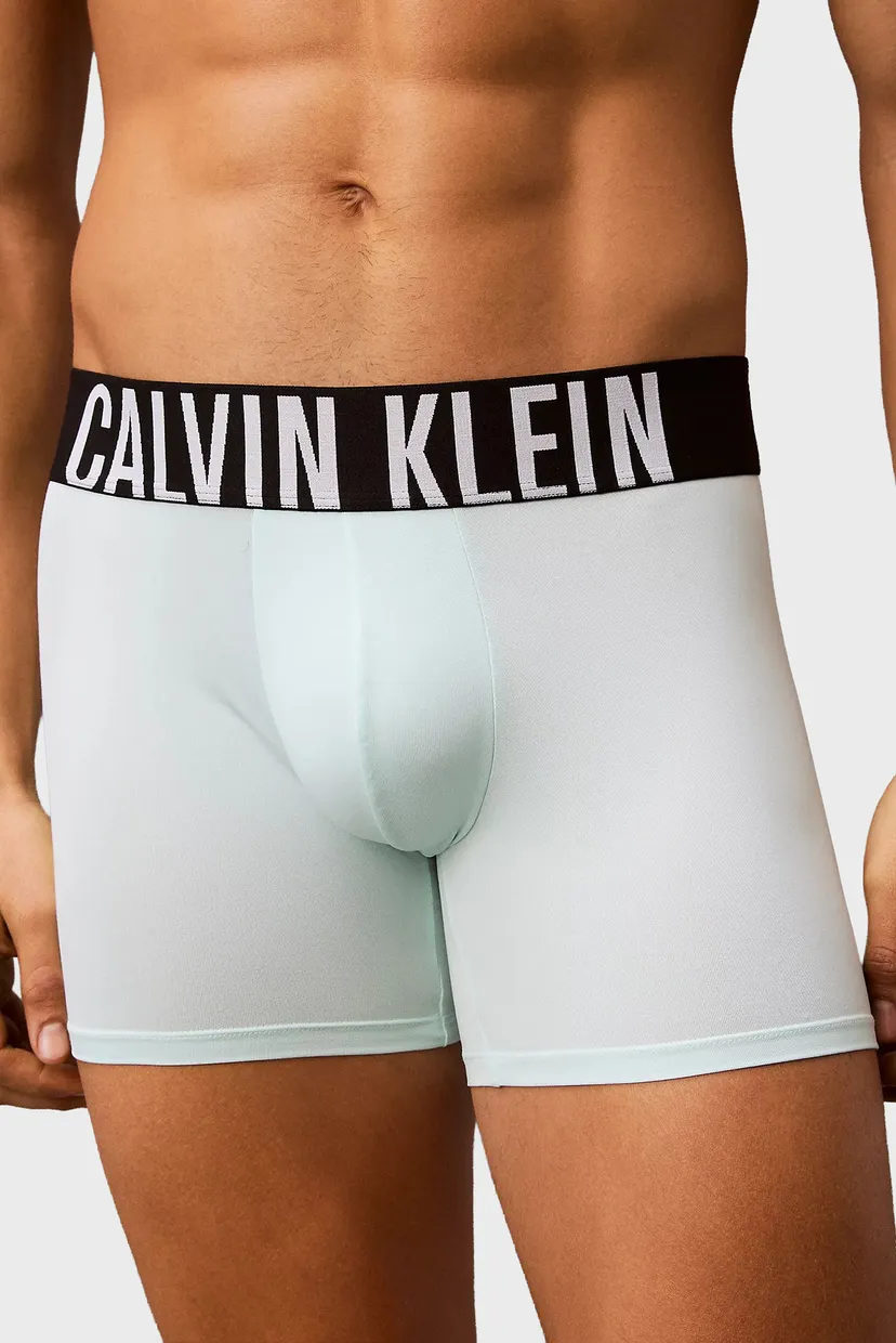 Чоловічі боксери (3 шт) BOXER BRIEF 5