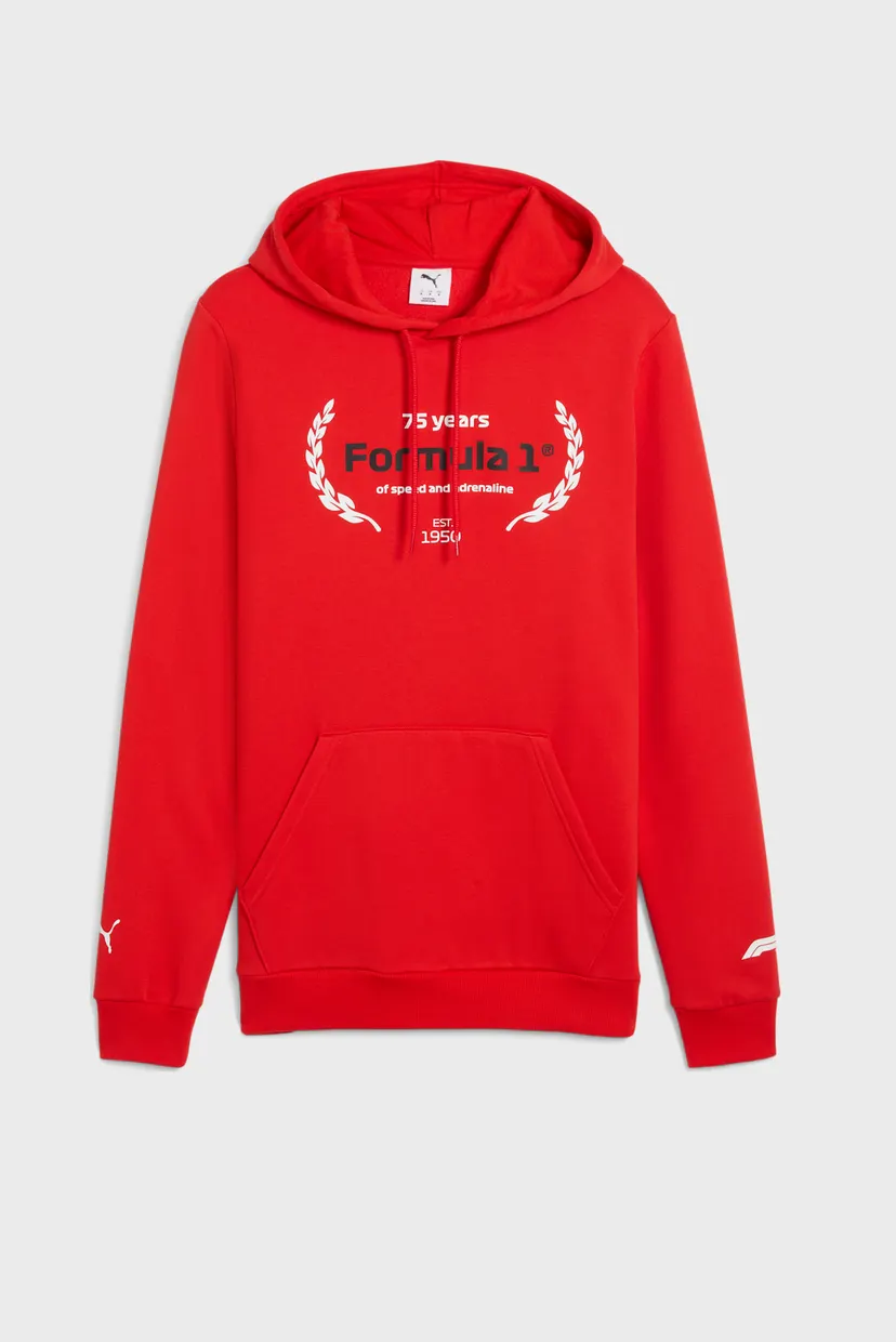 Мужское красное худи F1® Essentials Logo Graphic Hoodie Men 4