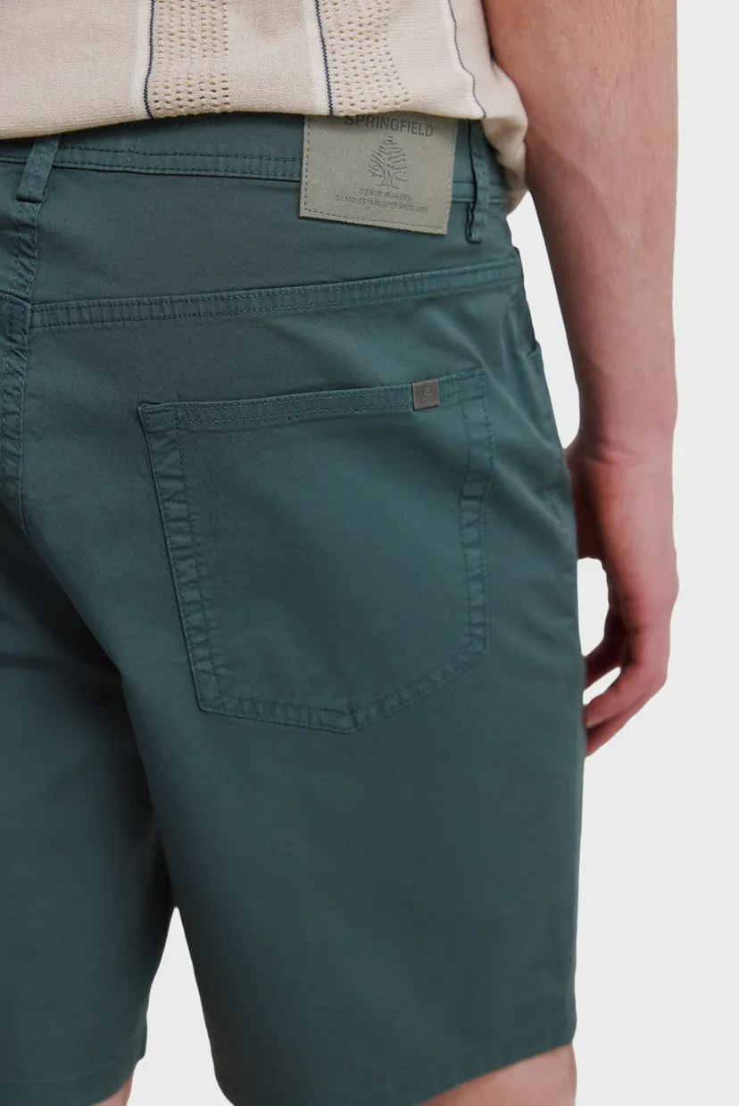 Мужские зеленые шорты regular fit 6