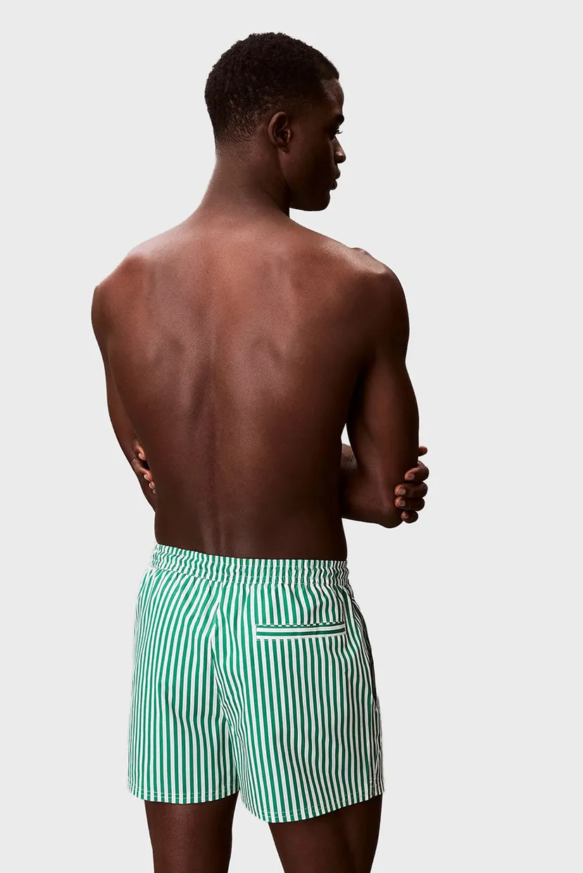 Мужские зеленые плавательные шорты в полоску WAISTBAND 4