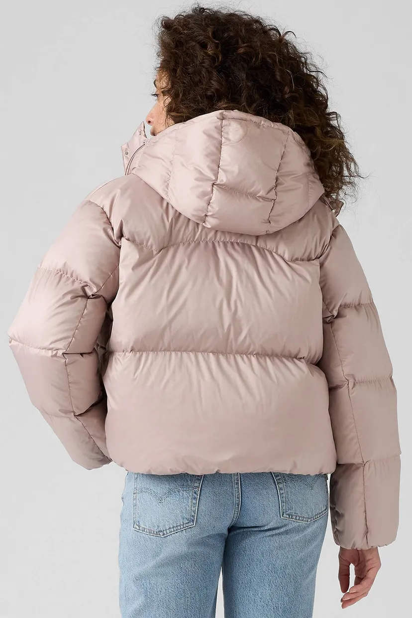 ジャケット・アウター pupipu 楽天市場】【30%OFFセール】 FUBU フブ 中綿ジャケット メンズ