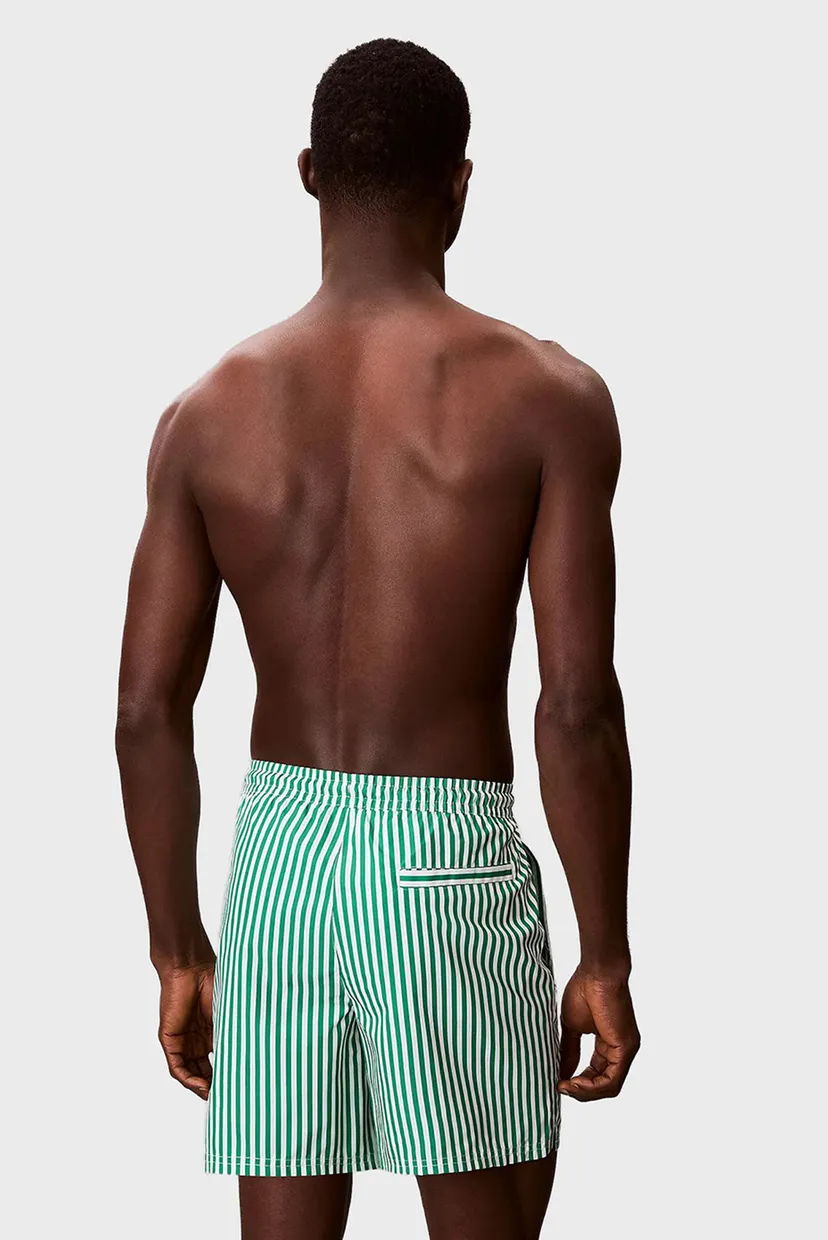 Мужские зеленые плавательные шорты в полоску WAISTBAND 4