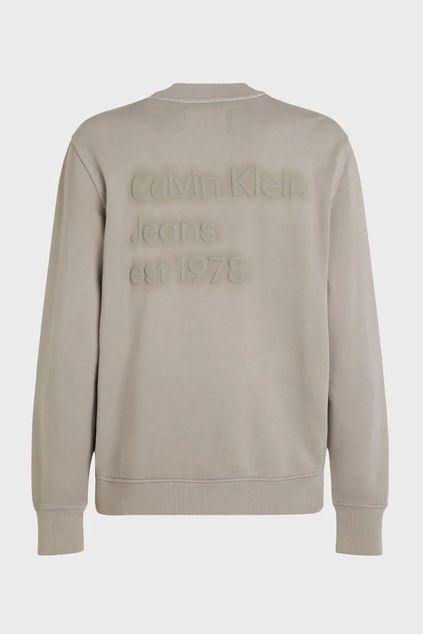 Мужской бежевый свитшот WASHED PUFF PRINT CREW NECK 5