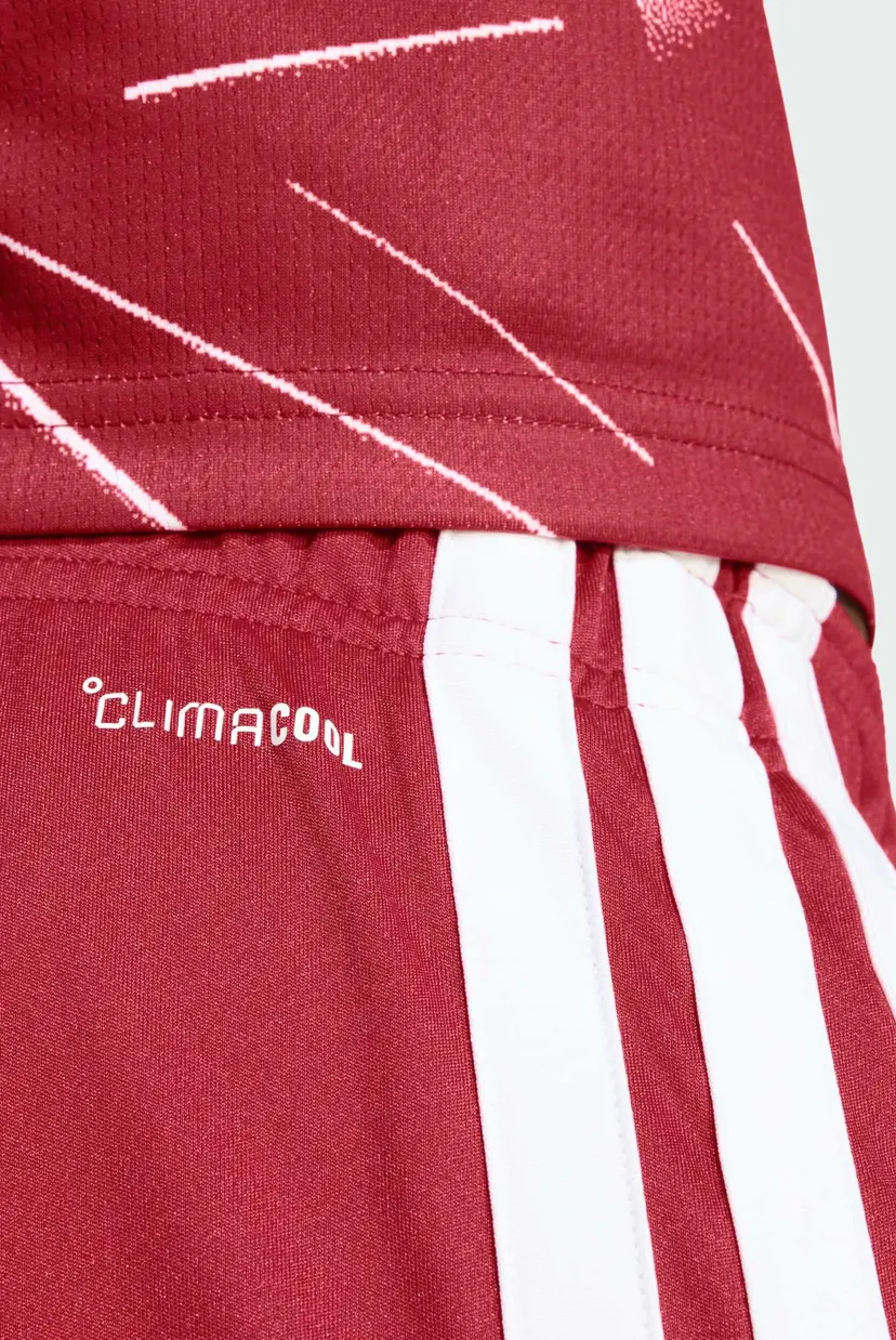 Мужские бордовые шорты Liverpool FC 26/27 Home 5